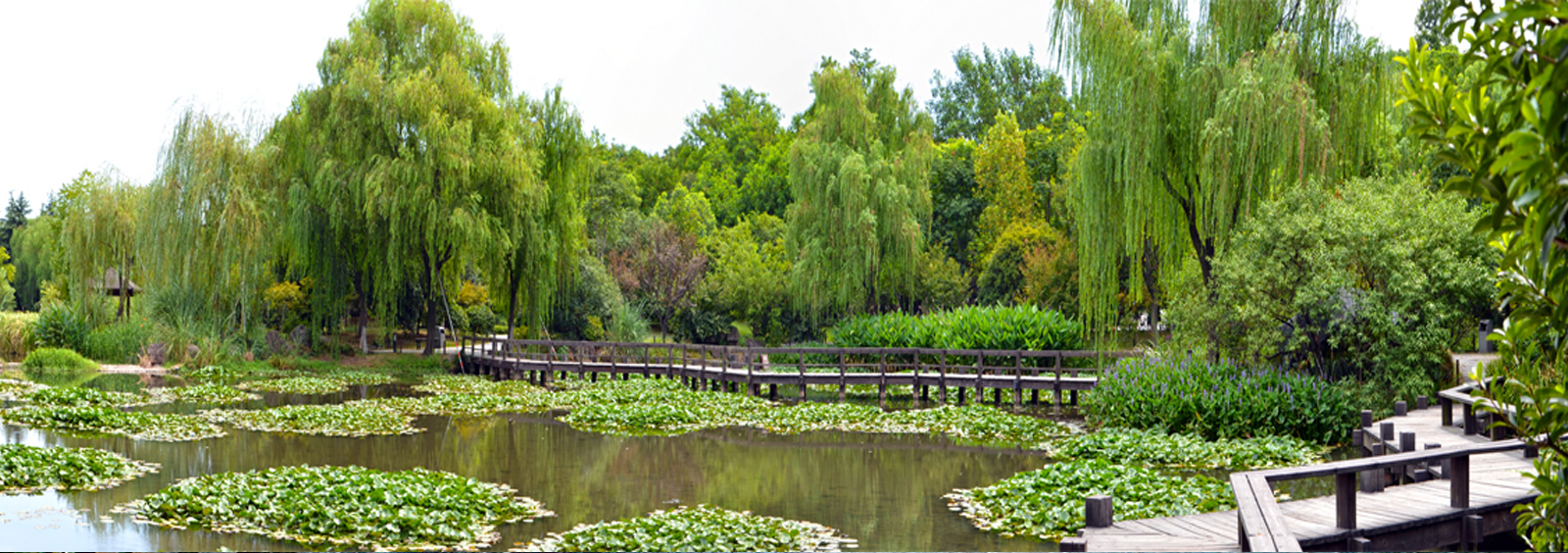 url(http://168tk.cn/theme/TP000163/pic/banner4.jpg)